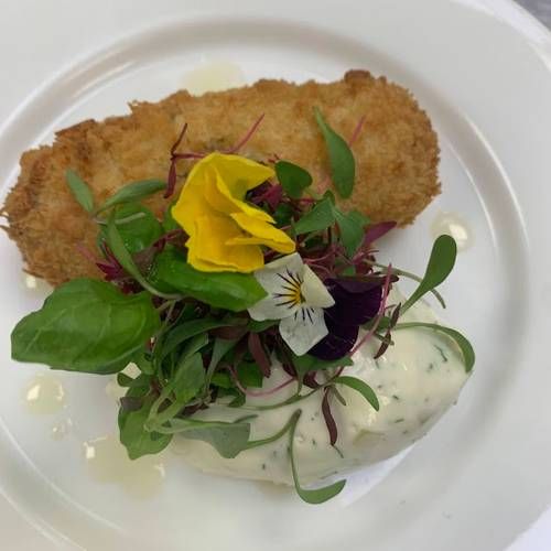 Salmon croquette served with micro green salad & a dill pickle tartare cream